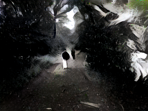 Through the Forest